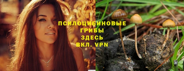 прущий лед Балахна