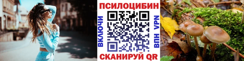Псилоцибиновые грибы мицелий  магазин    гидра сайт  Сергач 